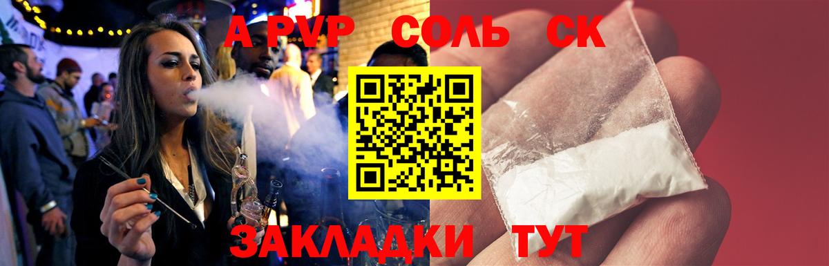 Alfa_PVP СК Сосновый Бор