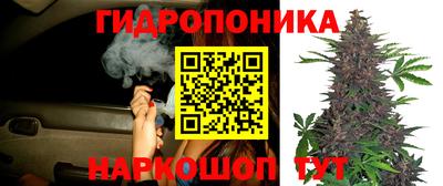 MESCALINE Обь