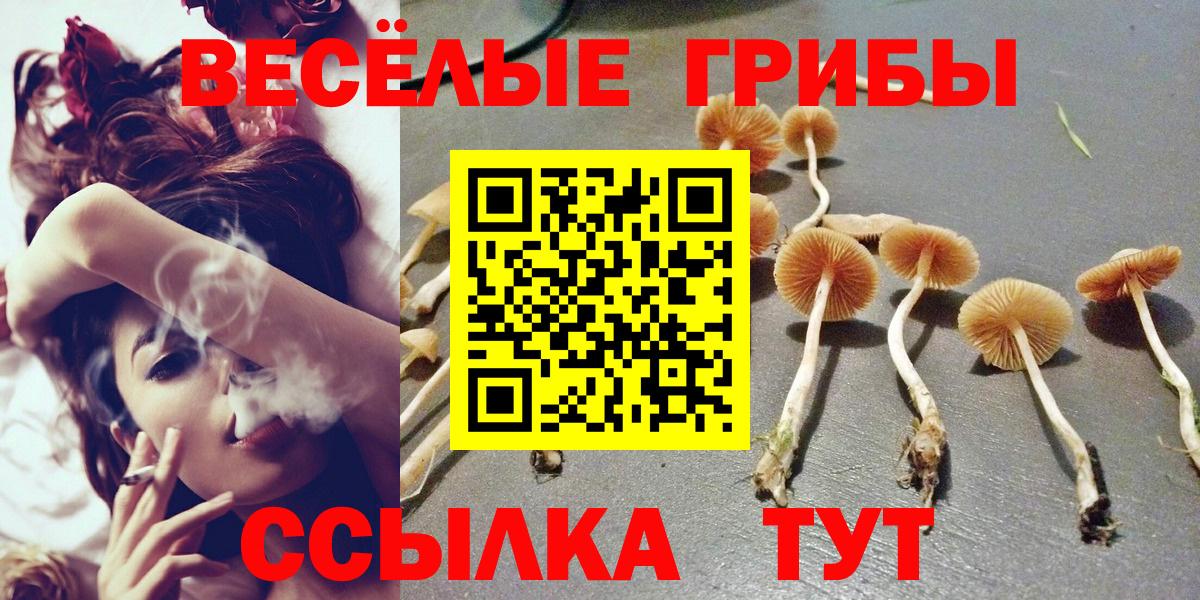 Галлюциногенные грибы Magic Shrooms Сосновый Бор