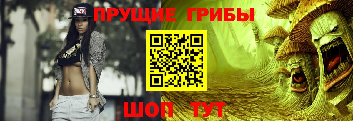 Сосновый Бор  Псилоцибиновые грибы прущие грибы  Вход с VPN 